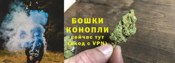 Альфа ПВП Верея