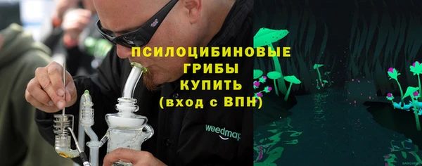 гидра Верхний Тагил