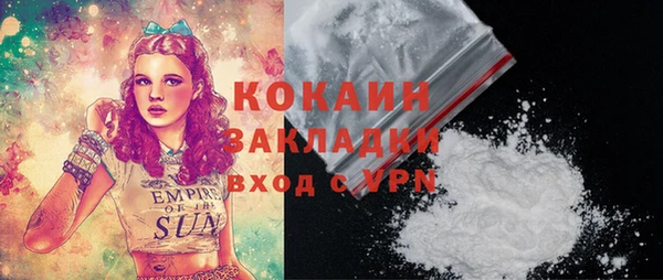 Альфа ПВП Верея